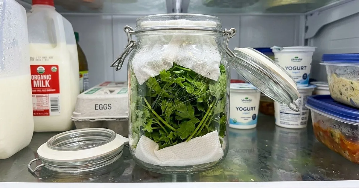 Recipiente hermético ajuda a conservar ervas frescas na geladeira