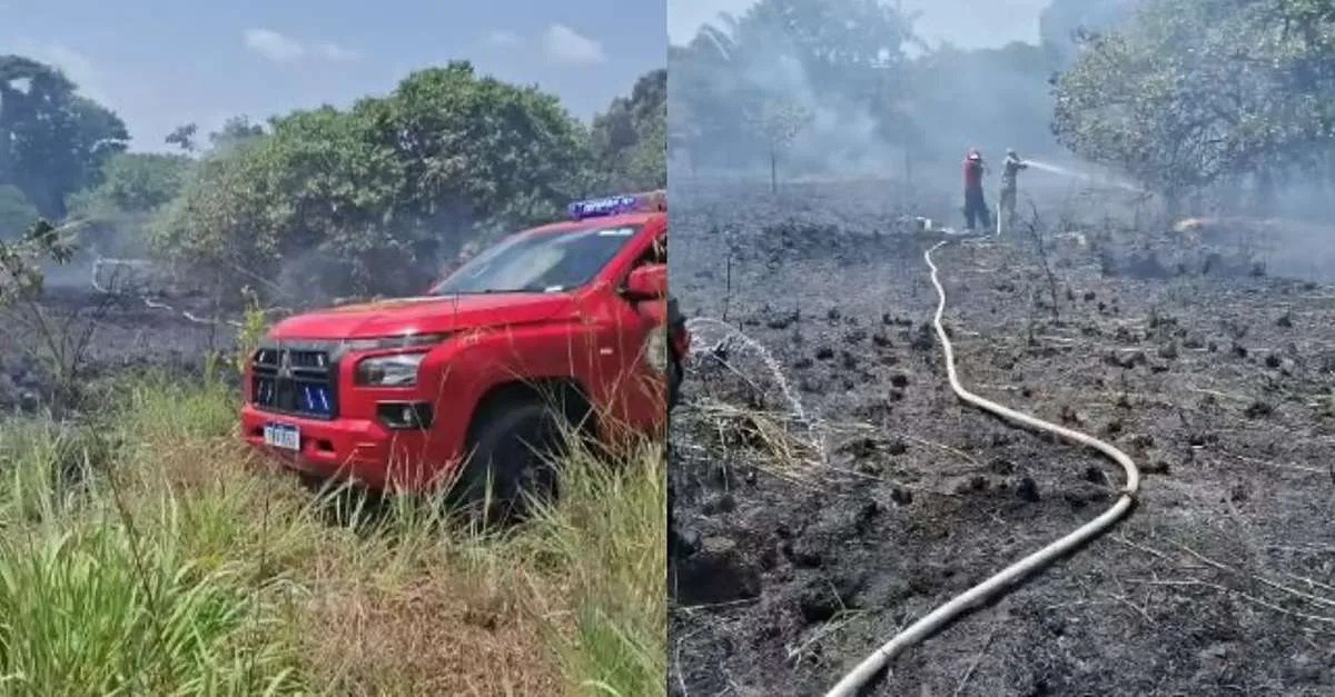 Bombeiros controlam queimada ilegal perto de residências em Salinópolis