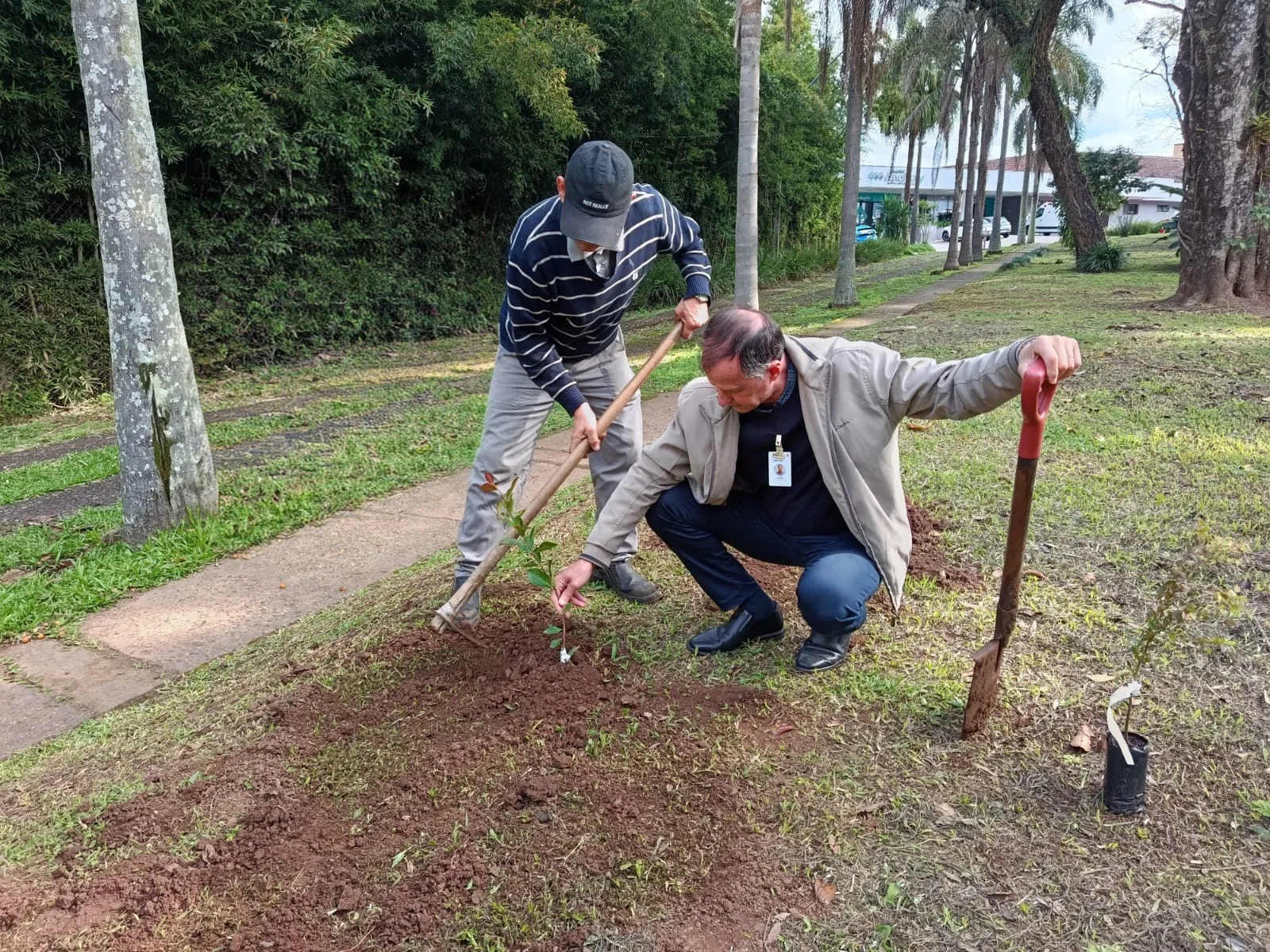 Hospital Ana Nery registra trajetória em cápsula e planta espécies frutíferas