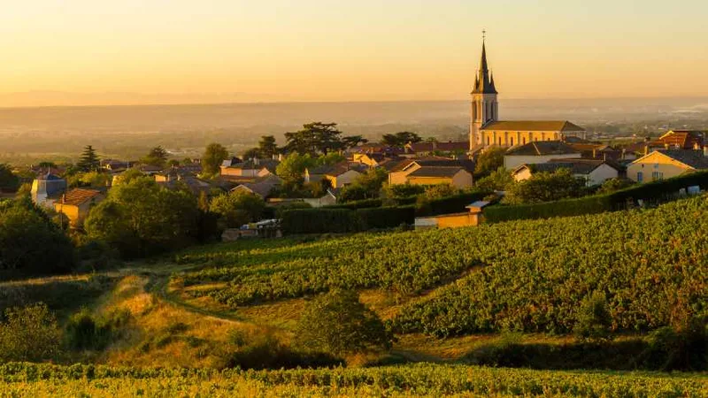 Prêmio de 2026 destaca nova fase dos vinhos de Beaujolais