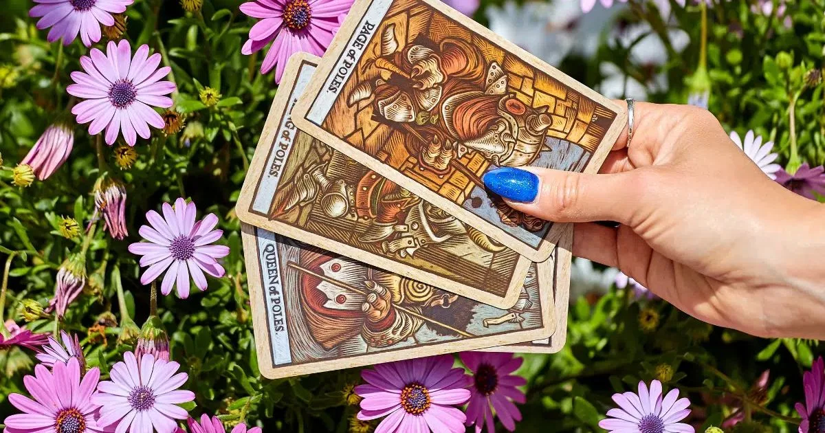 Tarot aponta tendências para os 12 signos na primavera