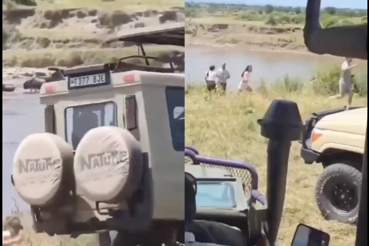 Turistas pulam de carro antes de veículo cair em rio no Serengeti