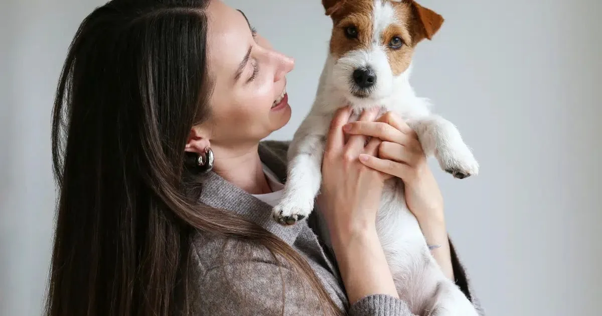 Como identificar mudanças de saúde em cães e gatos no dia a dia