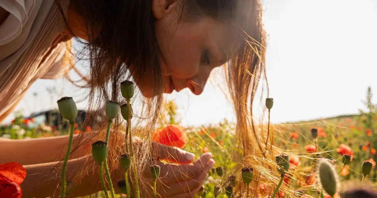 Equinócio de setembro marca início da primavera no Hemisfério Sul