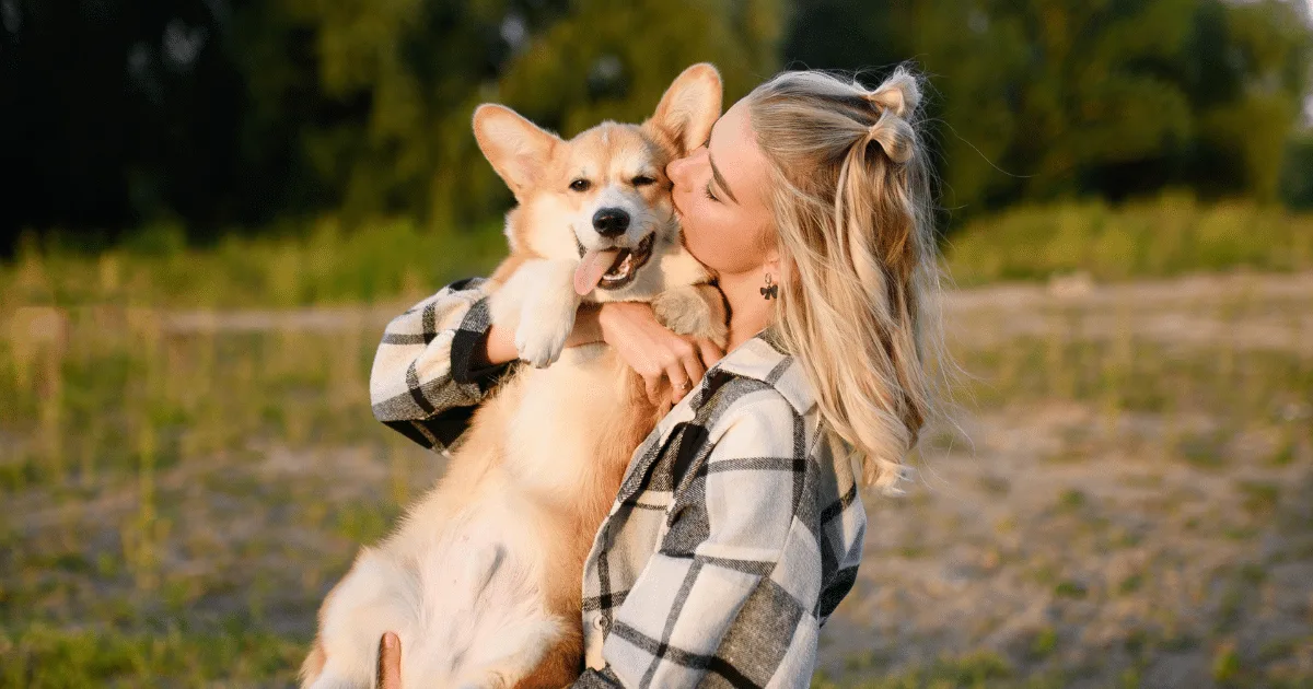 Gestos do cachorro revelam quando ele busca atenção e contato