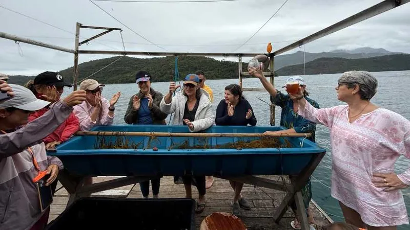 Viagens gastronômicas levam turistas a produtores e experiências privadas