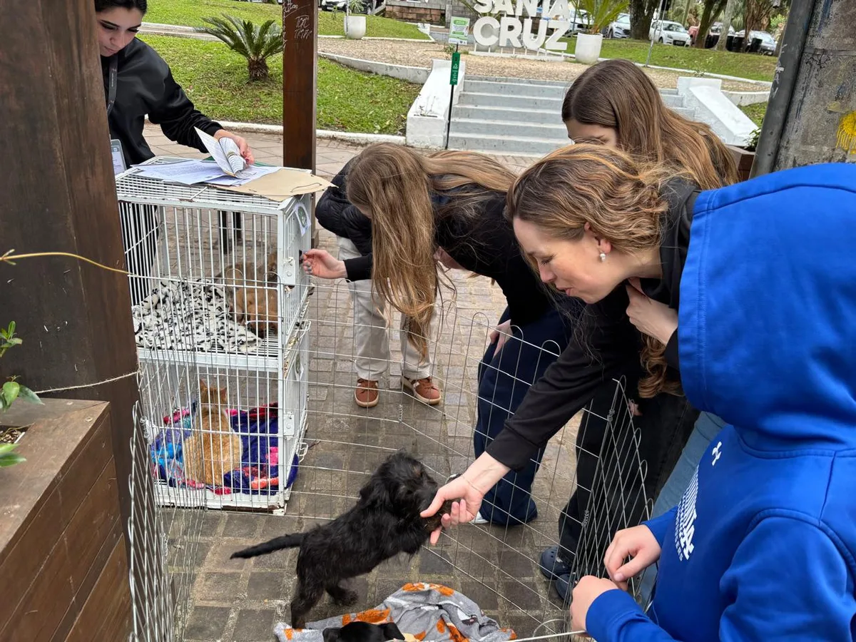 Minifeira de adoção encaminha três cachorros para novos lares