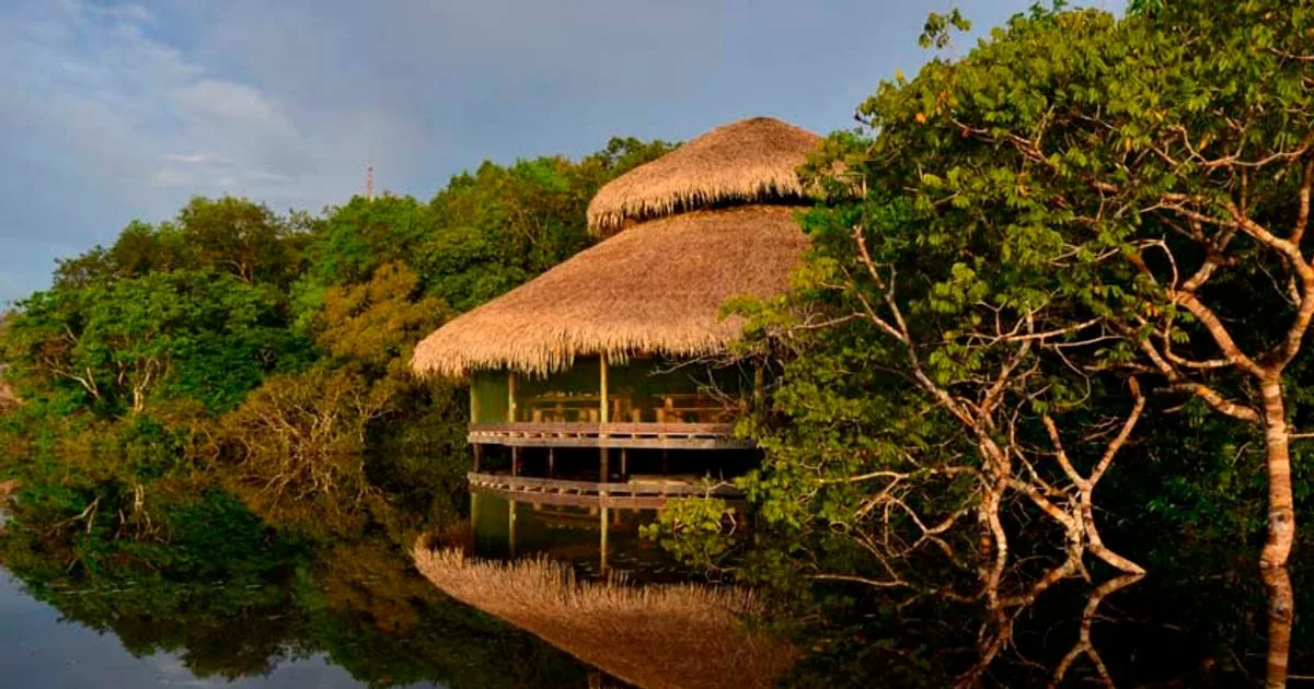 Juma Amazon Lodge oferece pernoite em redes na floresta