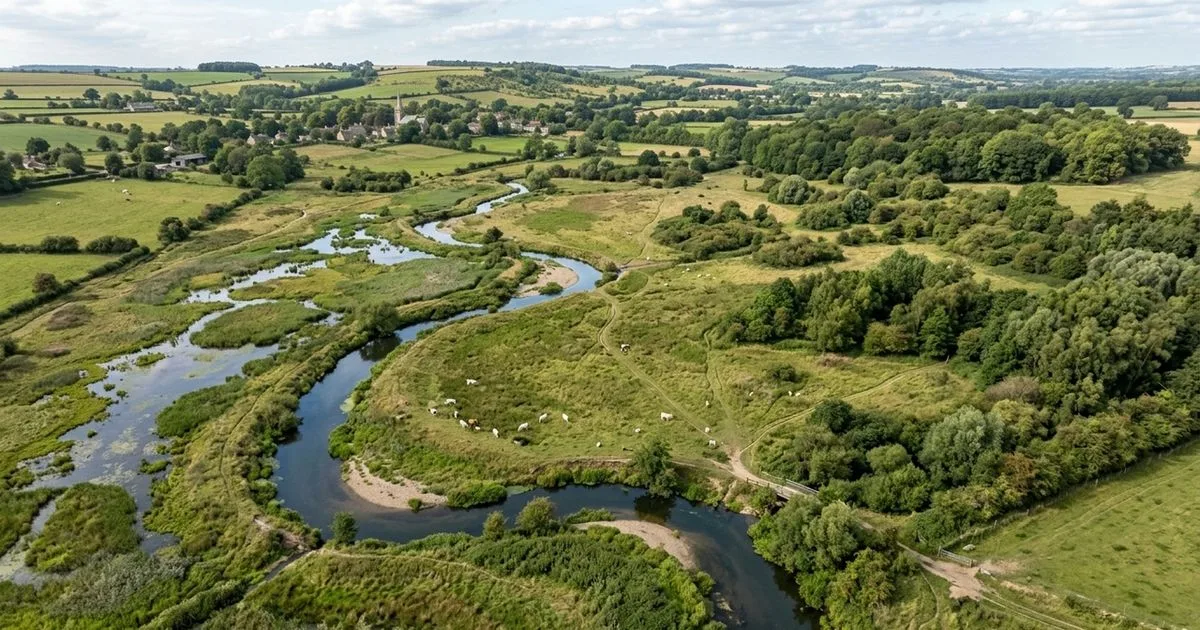 Antiga fazenda na Inglaterra registra alta de 108% em indicador de biodiversidade