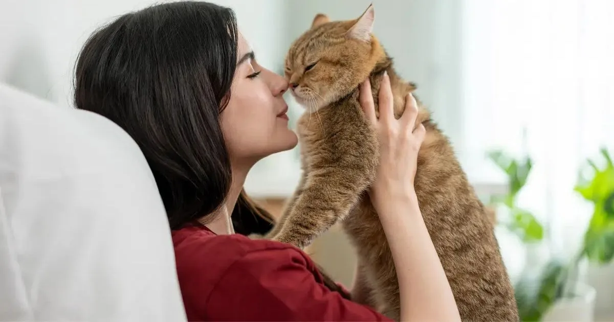 Como cães e gatos desenvolvem vínculos com pessoas da família